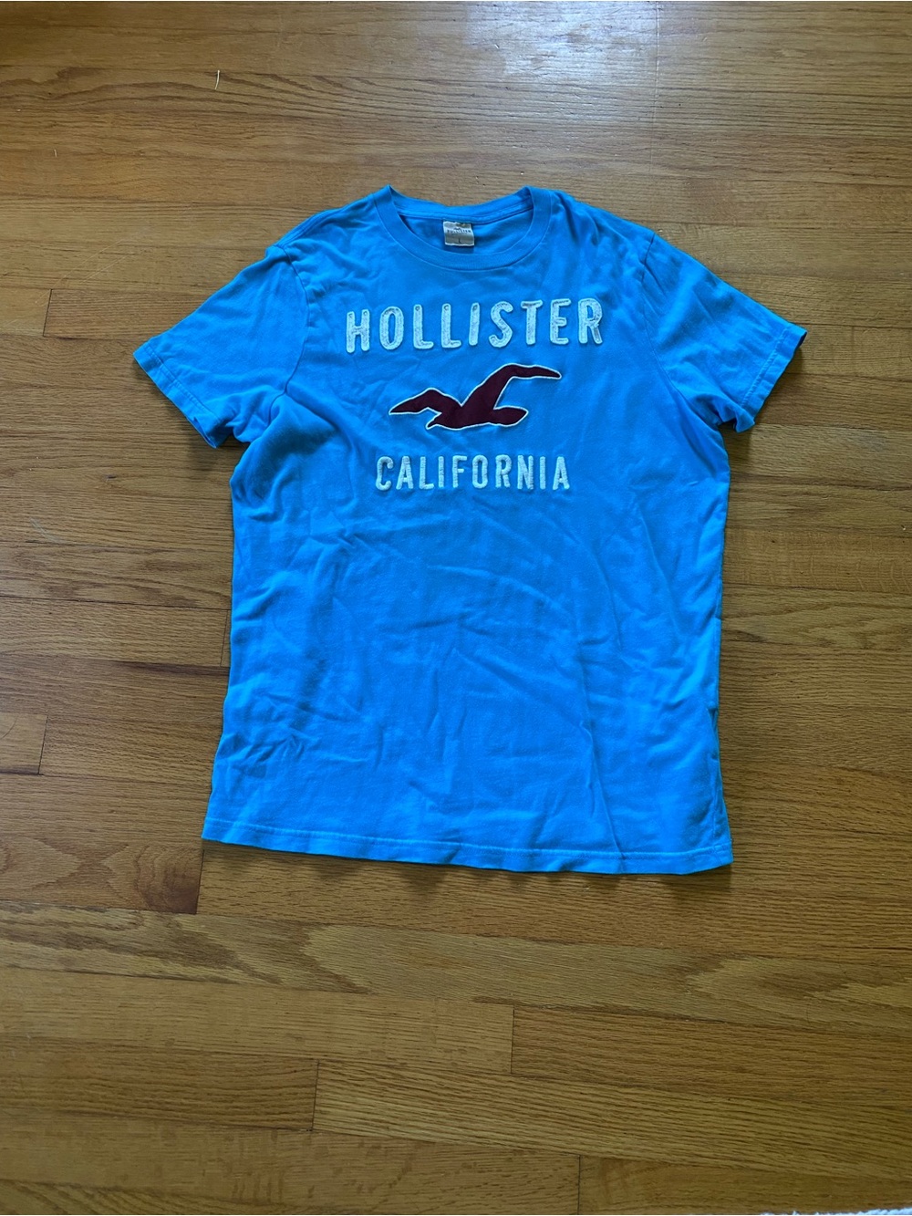 Hollister Blue T-Shirt with Red Logo